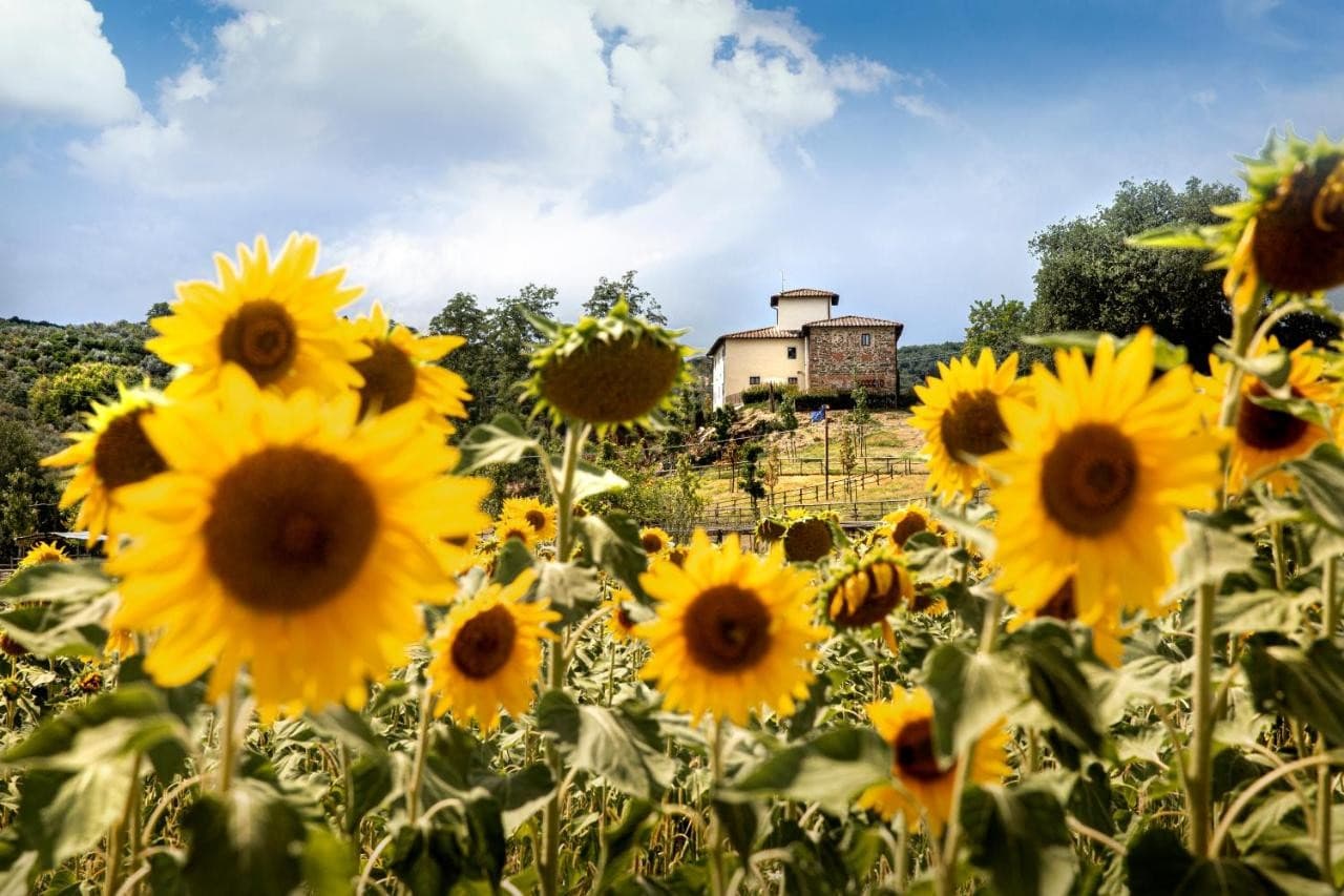 palagina-la-cascina/palagina-la-cascina-21.jpg