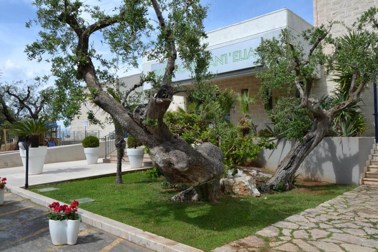 park-hotel-sant-fasano/park-hotel-sant-16.jpg