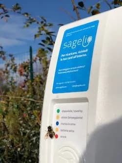 Sfondo relazione impatto 2024