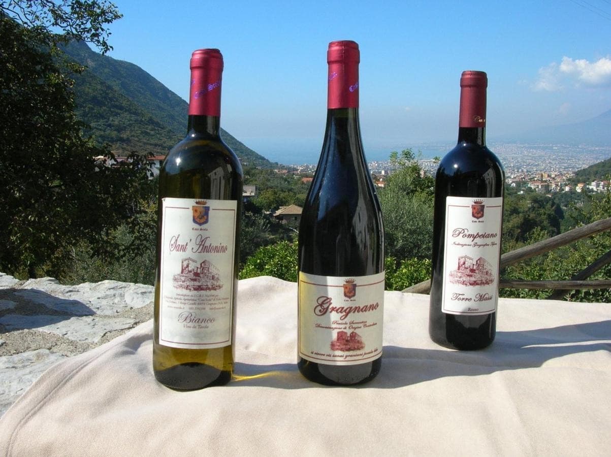 agriturismo-casa-scola-castello/agriturismo-casa-scola-16.jpg