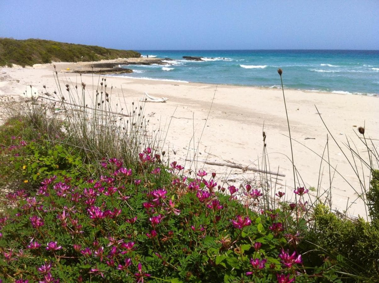 agriturismo-fontanelle-otranto/agriturismo-fontanelle-9.jpg