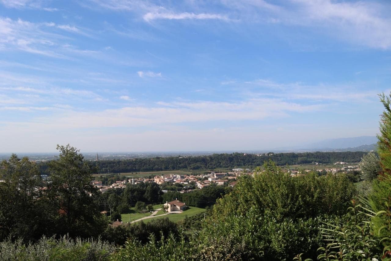 albergo-alla-pineta-montebelluna/albergo-alla-pineta-19.jpg