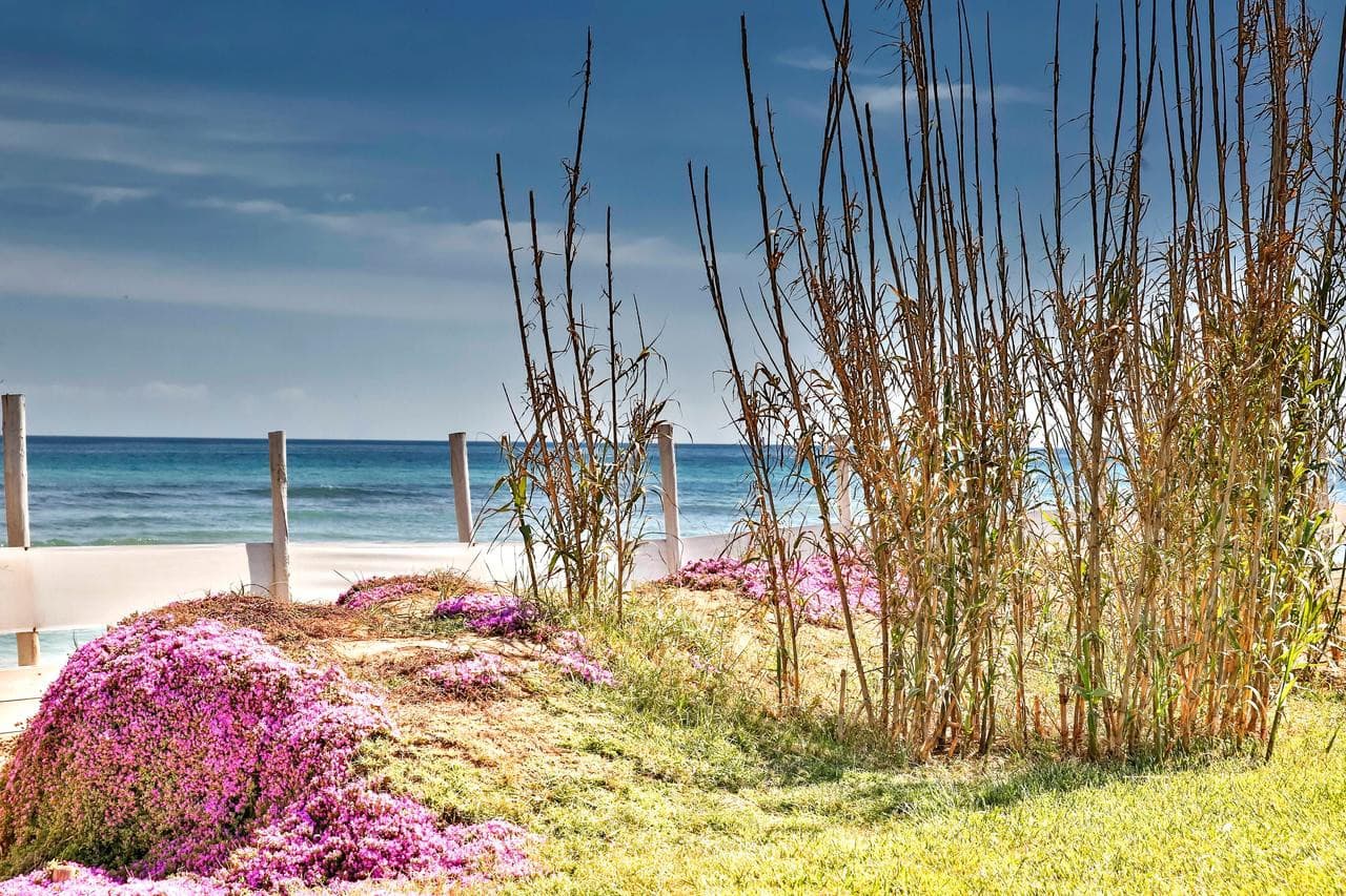 canne-bianche-lifestyle-hotel-torre-canne/canne-bianche-lifestyle-hotel-14.jpg