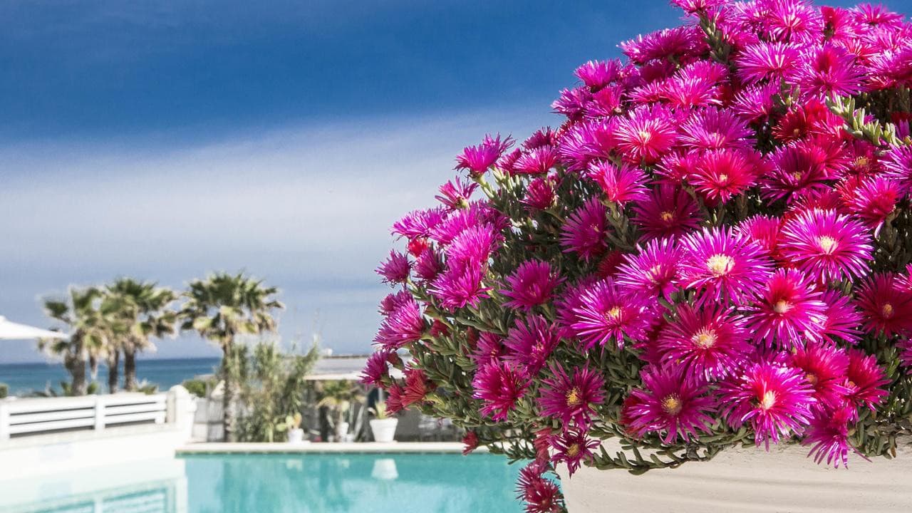 canne-bianche-lifestyle-hotel-torre-canne/canne-bianche-lifestyle-hotel-28.jpg