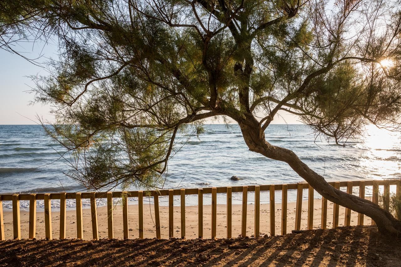 canne-bianche-lifestyle-hotel-torre-canne/canne-bianche-lifestyle-hotel-31.jpg