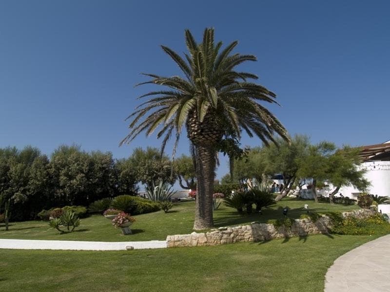 hotel-lido-torre-egnazia-garrappa/hotel-lido-torre-egnazia-19.jpg