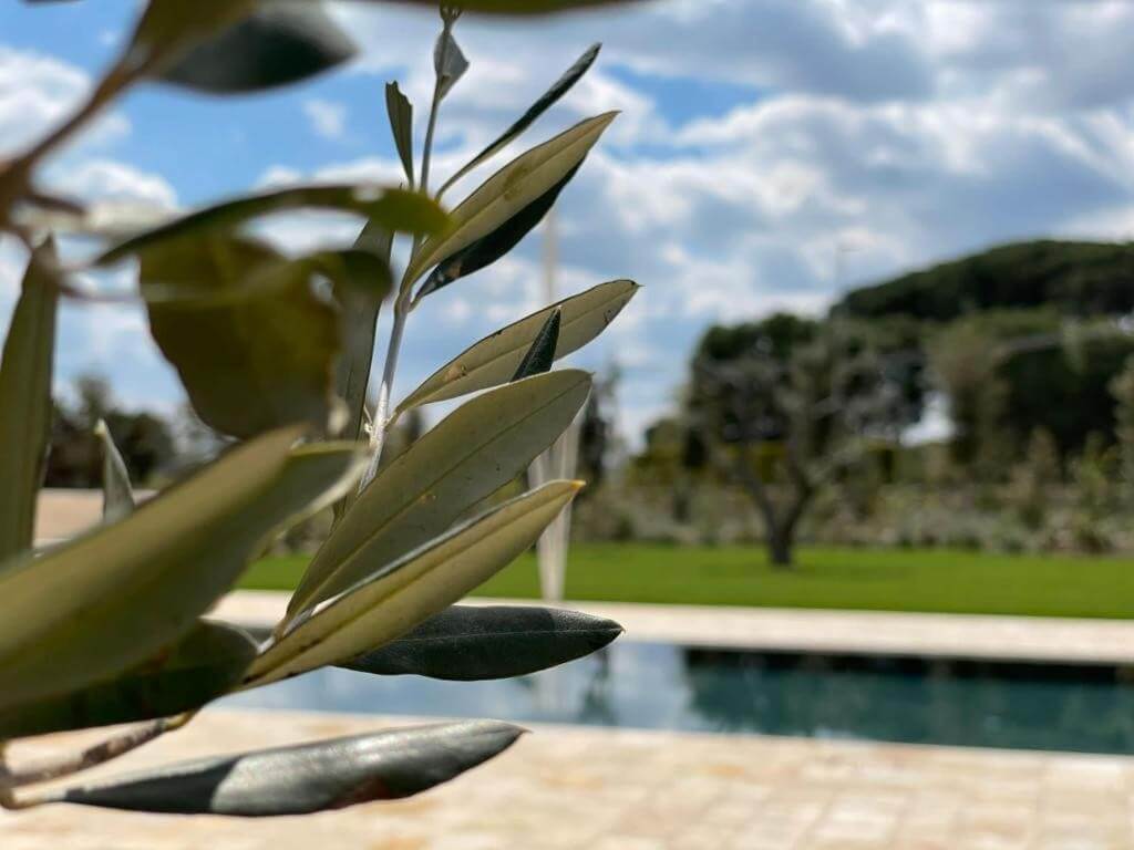 il-borgo-dei-lecci-puglia-selva-di-fasano/il-borgo-dei-lecci-puglia-21.jpg