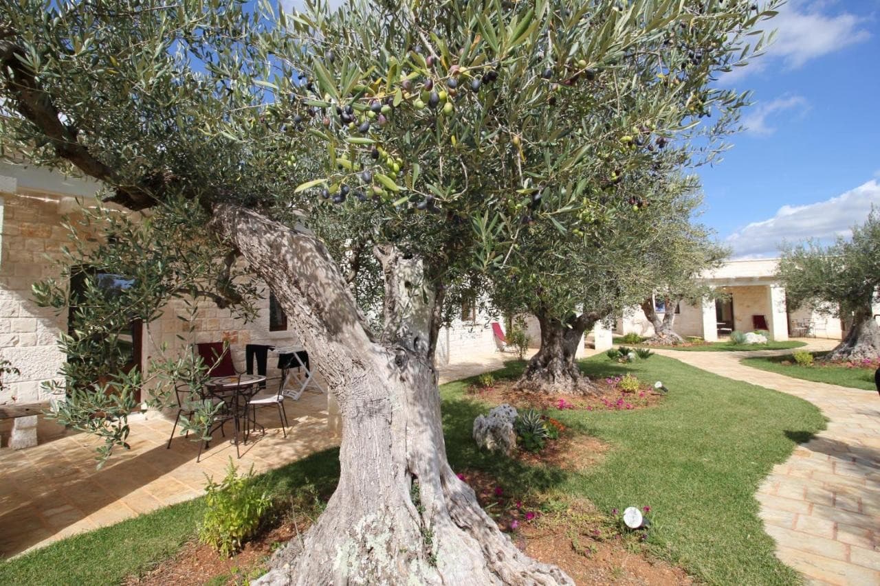 il-gabellota-resort-alberobello/il-gabellota-resort-21.jpg