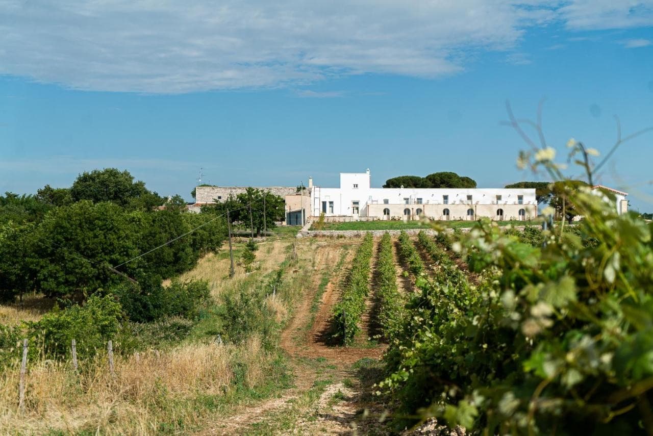 le-masserie-zucaro-castel-del-monte/le-masserie-zucaro-6.jpg