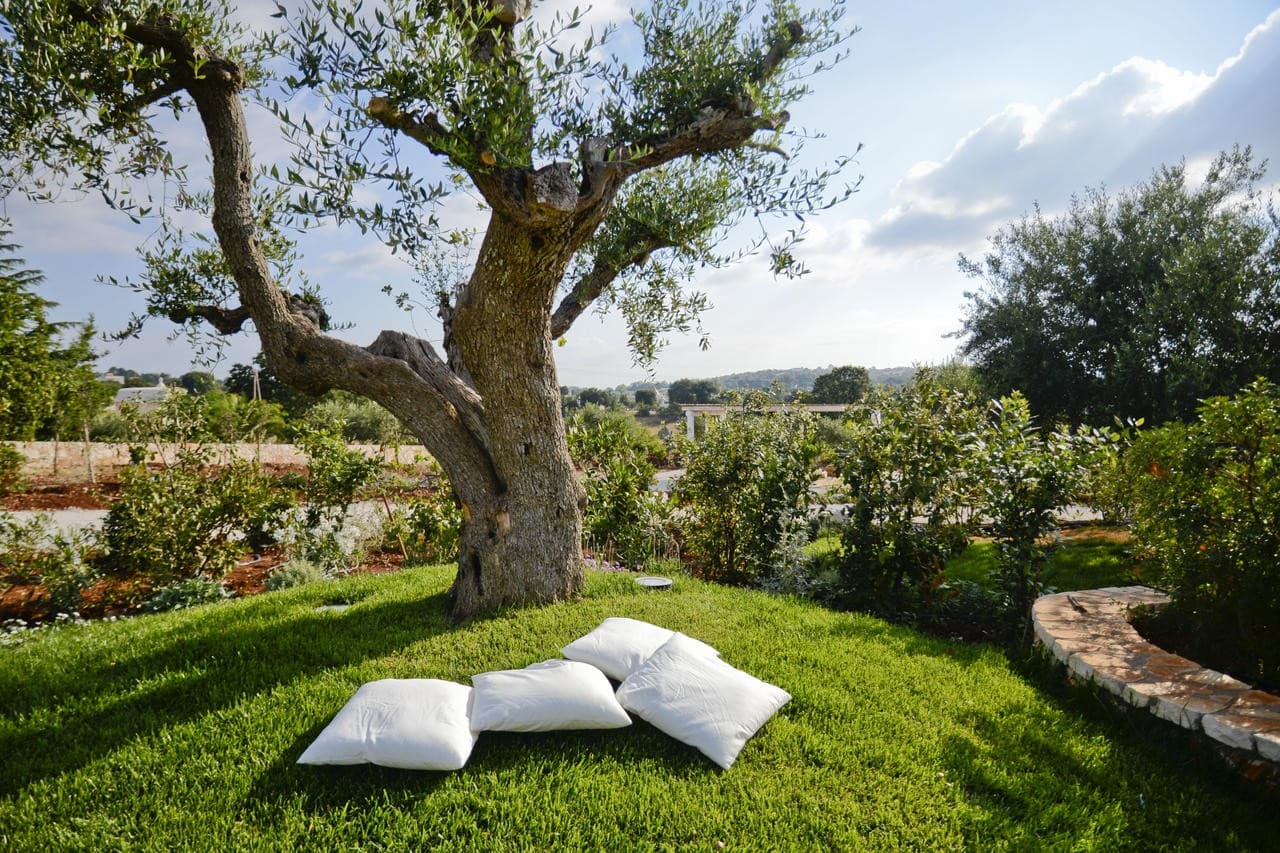 leonardo-trulli-resort-locorotondo/leonardo-trulli-resort-18.jpg