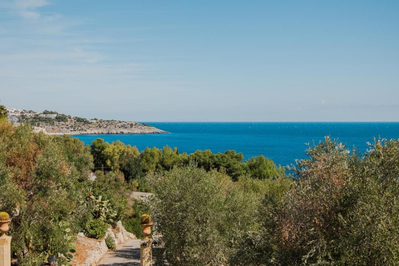marenea-suite-hotel-cdshotels-marina-di-marittima/marenea-suite-hotel-cdshotels-15.jpg