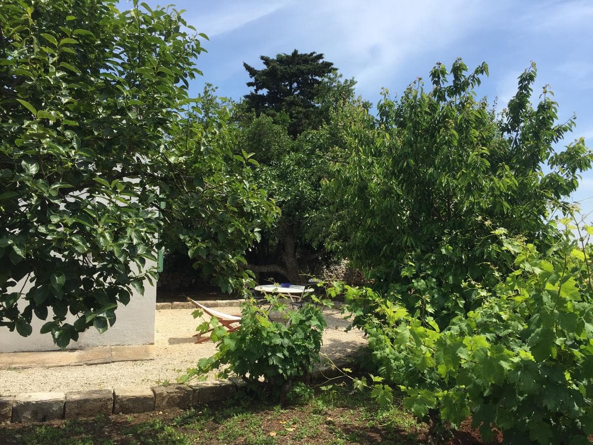 masseria-camarda-ceglie-messapica/masseria-camarda-8.jpg