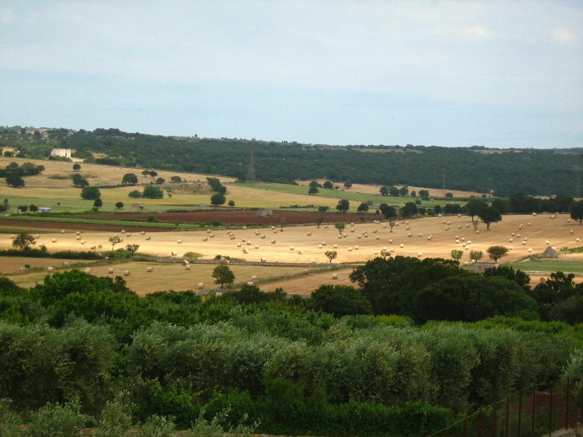 Masseria Torricella