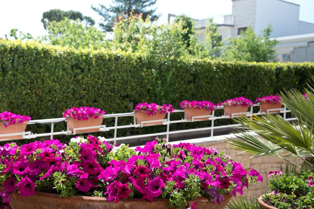 park-hotel-la-grave-grotte-di-castellana/park-hotel-la-grave-22.jpg