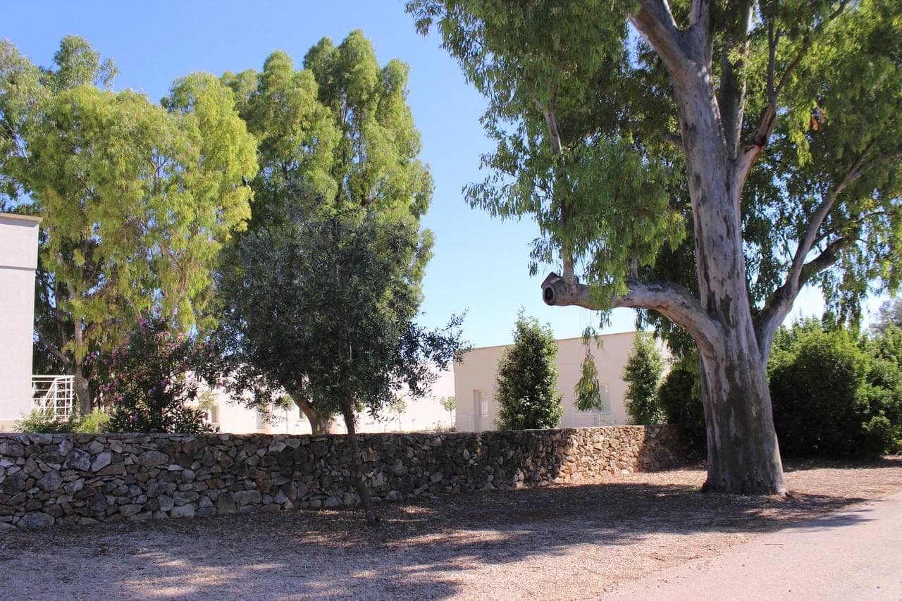 terreamare-agriturismo-porto-cesareo/terreamare-agriturismo-21.jpg