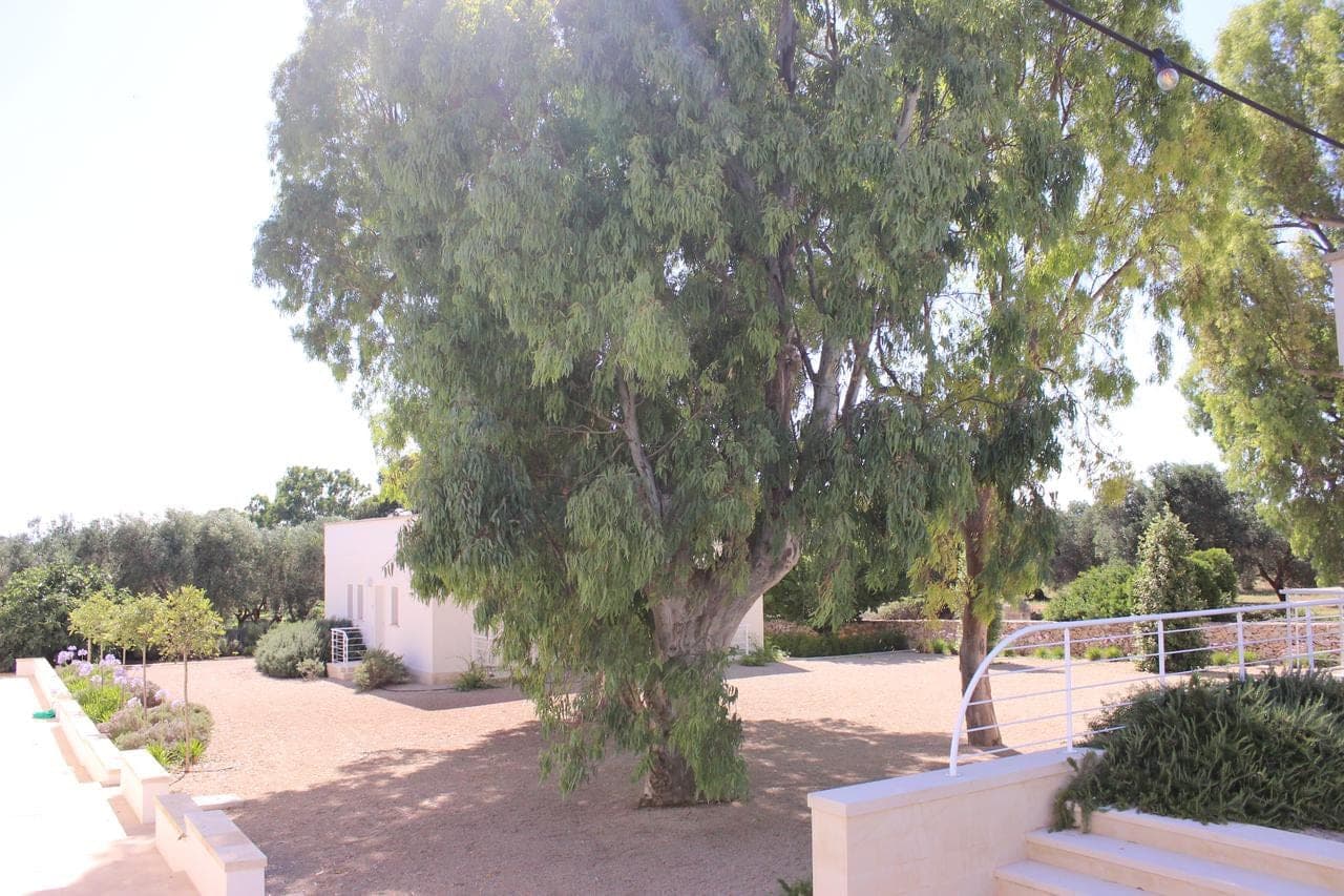 terreamare-agriturismo-porto-cesareo/terreamare-agriturismo-27.jpg