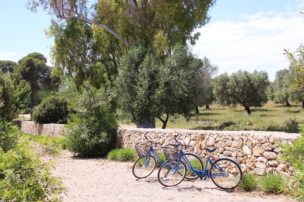terreamare-agriturismo-porto-cesareo/terreamare-agriturismo-6.jpg