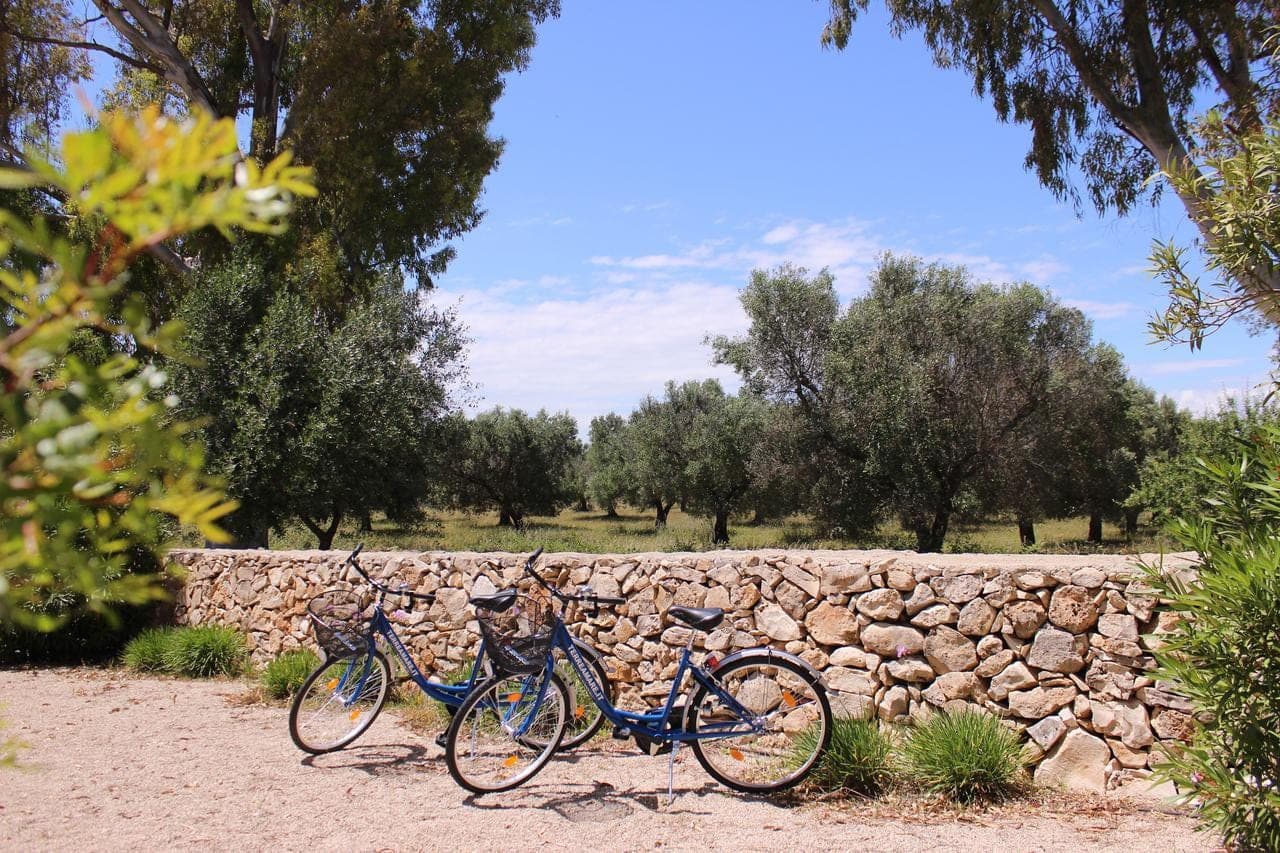 terreamare-agriturismo-porto-cesareo/terreamare-agriturismo-7.jpg