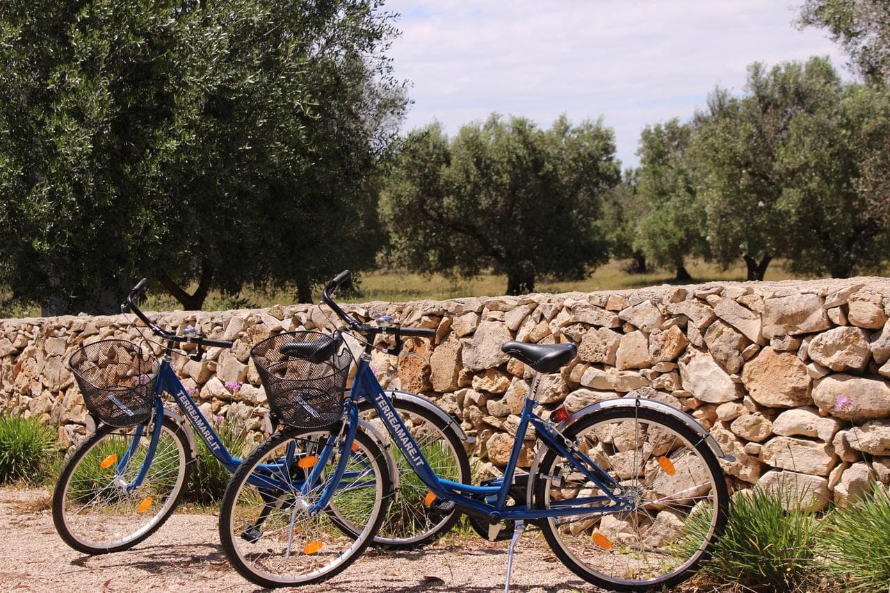 terreamare-agriturismo-porto-cesareo/terreamare-agriturismo-9.jpg