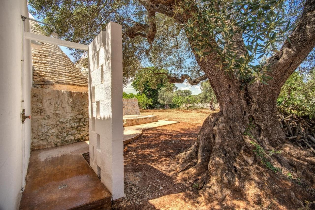 trulli-cicale-e-olive-ceglie-messapica/trulli-cicale-e-olive-23.jpg